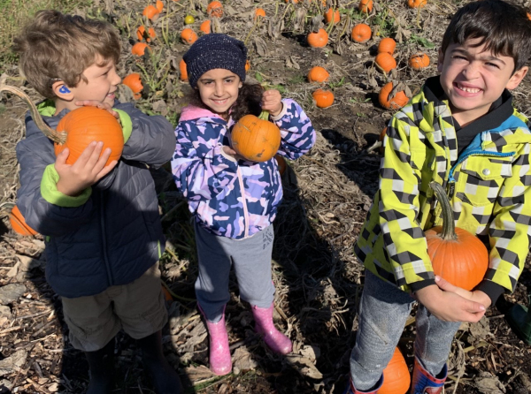 Pumpkin Picking 2020